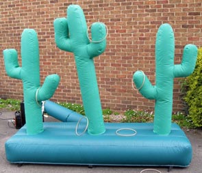 Wild West Cactus Hoopla Game