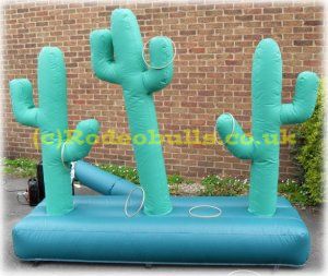 Wild West Cactus Hoopla Game