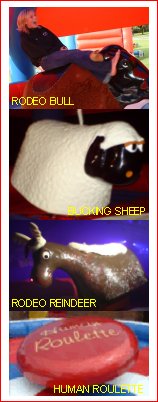 Hire a Rodeo Bull, Bucking Sheep, Rodeo Reindeer, Human Roulette, and Surf Simulators from Rodeobulls.co.uk